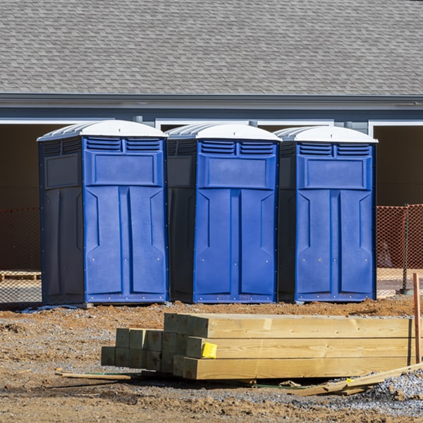 are there different sizes of portable toilets available for rent in Genesee Depot